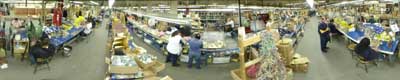 Playfield Assembly